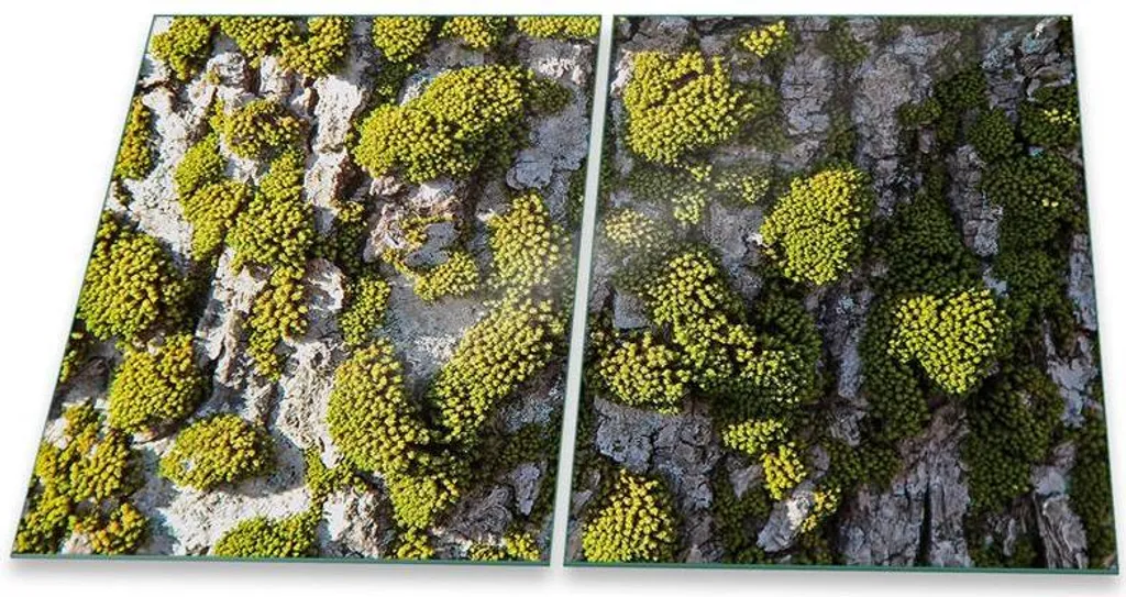 Tagliere e Copri Piano Vetro 40x52 Verde Naturale - Set Cucina Top