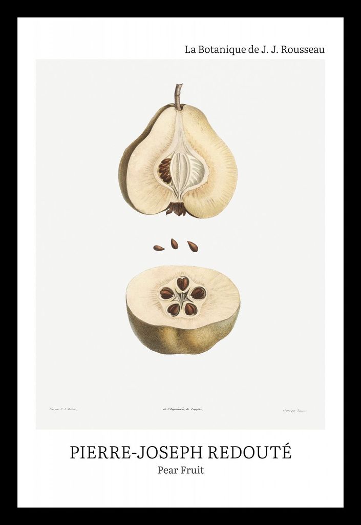 Plakat 20x30cm Design Birne Obst, Redoute Vintage für das Wohnzimmer