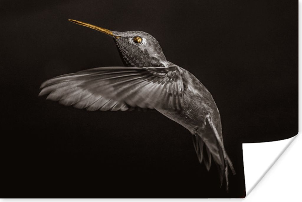 MuchoWow Poster Vogel - Schwarz und Gold 120x80 cm - Bilder