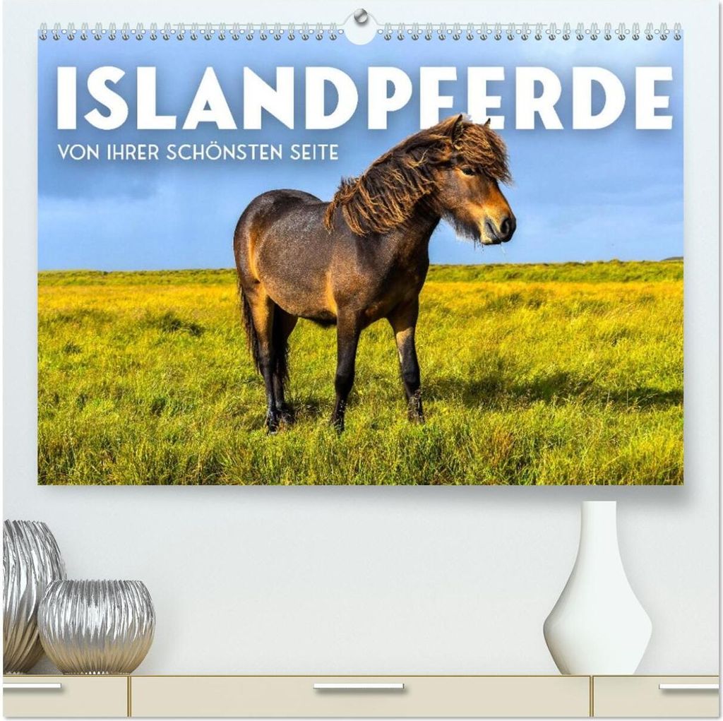 Islandpferde - Von ihrer schönsten Seite (hochwertiger Premium Wandkalender 2026 DIN A2 quer), Kunstdruck in Hochglanz