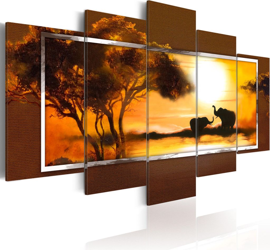 Akustikbild Afrika 200x100 cm Bilder Akustikschaum Hochleistungsschallabsorber Schallschutz Leinwand 5 tlg Wandbild Raumakustik Schalldämmung 5719