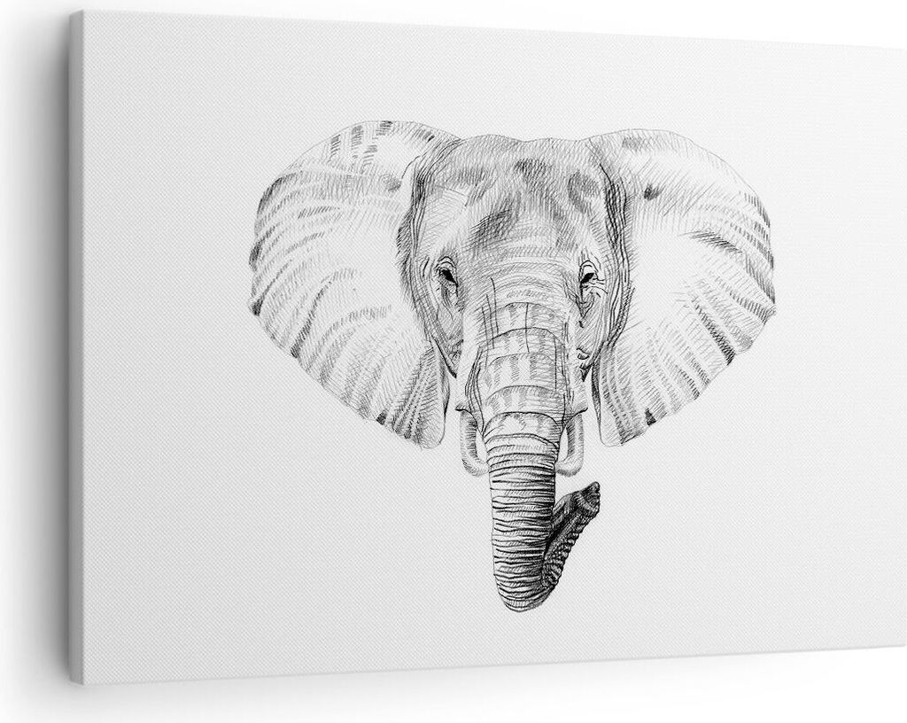 Bild auf Leinwand - Leinwandbild - Elefant Afrika Produktbild 