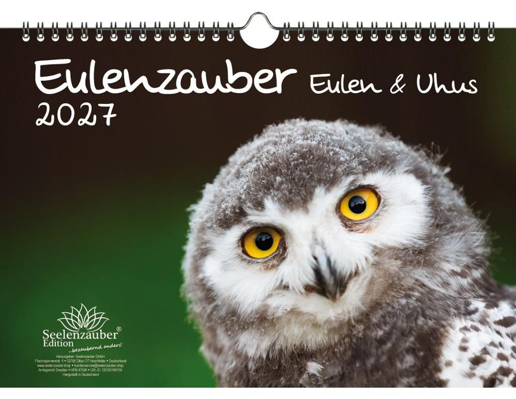 Eulenzauber Eulen und Uhus DIN A4 Kalender für 2027 - Seelenzauber