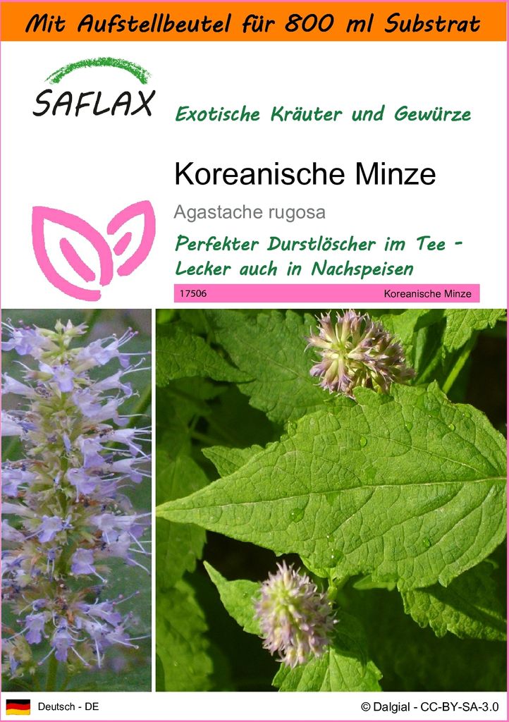SAFLAX - Garden in the Bag - Kräuter - Koreanische Minze - 1200 Samen - Mit Anzuchtsubstrat im praktischen, selbst aufstellenden Beutel - Agastach...