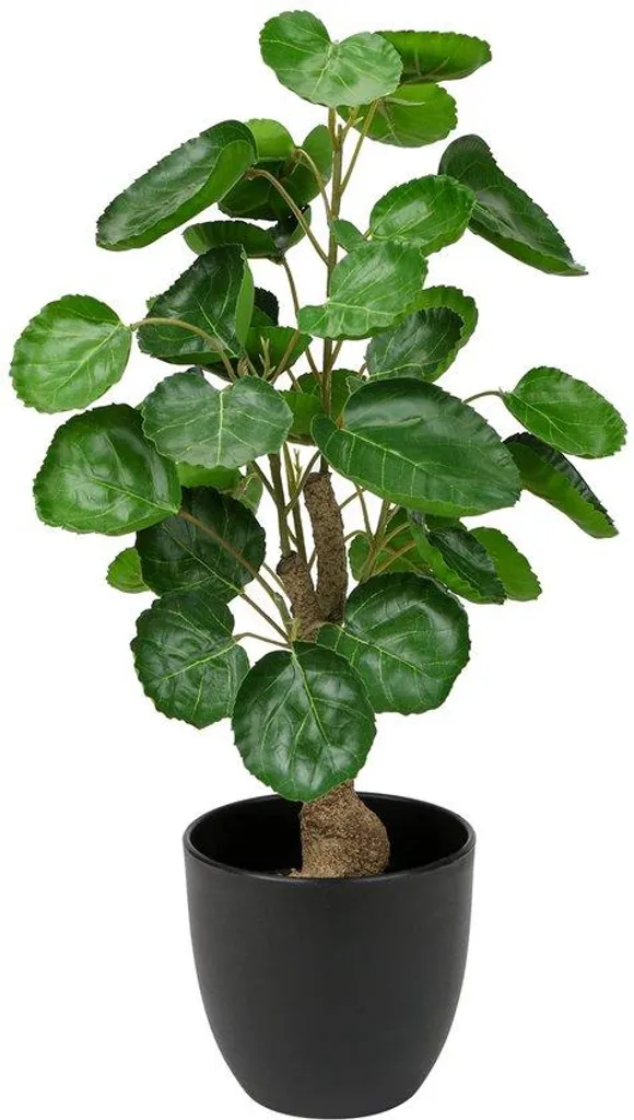 Plante artificielle 45 cm sans entretien pour déco salon toujours verte