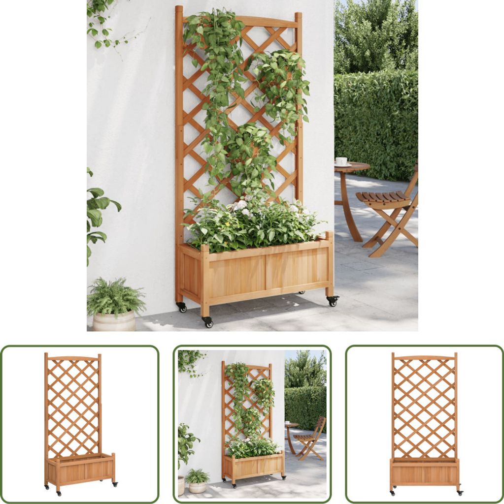 The Living Store Pflanzkübel mit Rankgitter und Rollen Braun Massivholz Tanne