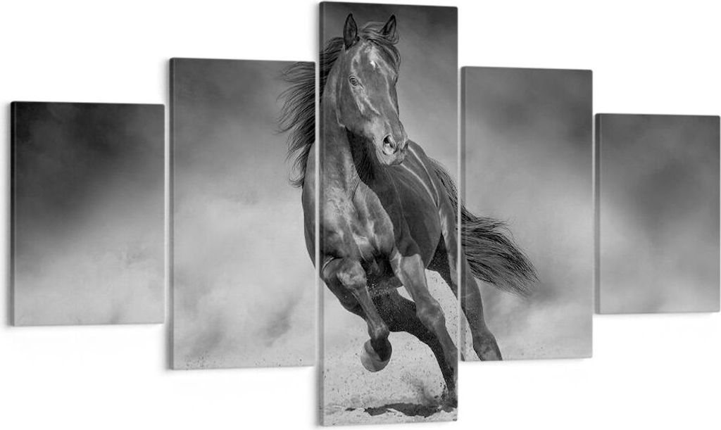 Bild auf Leinwand - Leinwandbild - 5 Teile - Pferd Galopp dynamisch - 125x70cm - Wand Bild - Wanddeko - Wandbilder - Leinwanddruck - Bilder - Wandd...