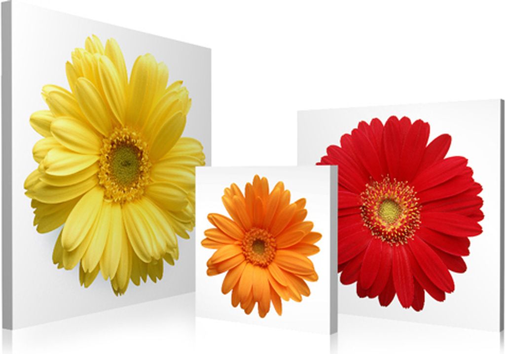 Wandbild Holzrahmen 2-teiliges -Set 40x120 cm Blume bunt Frühling Natur Sommer