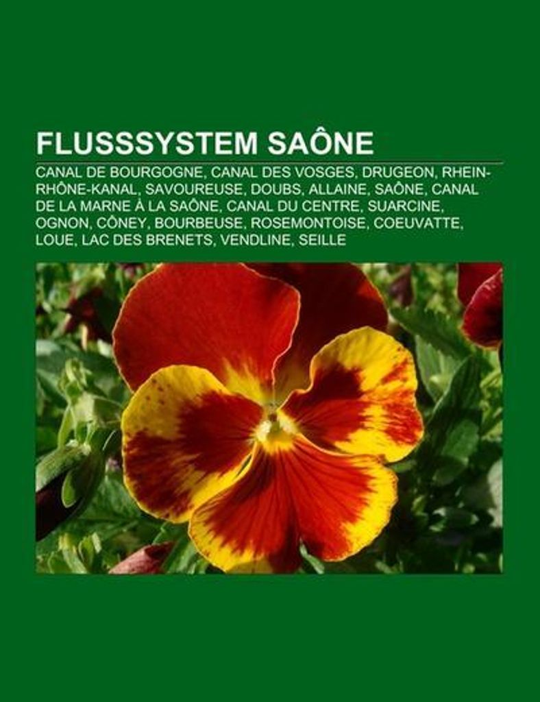 Flusssystem Saône