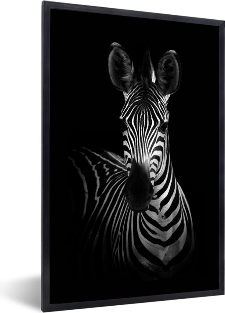 MuchoWow Gerahmtes Poster Zebra - Schwarz - Weiß - Tiere 20x30 cm - Poster mit Schwarzem Bilderrahmen Wandposter Rahmen Foto Bilder - Drucken - ...