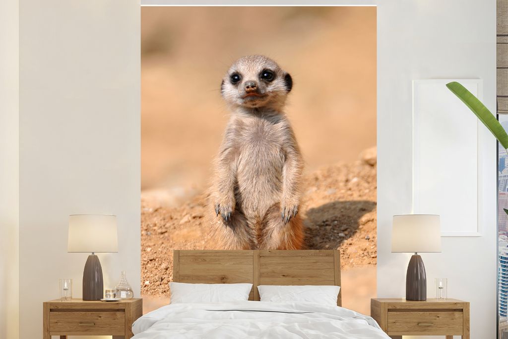 MuchoWow Fototapete für Wohnzimmer oder Schlafzimmer Wandtapete Vinyl Motivtapete Erdmännchen - Baby - Sand - 180x280 cm - Wallpaper