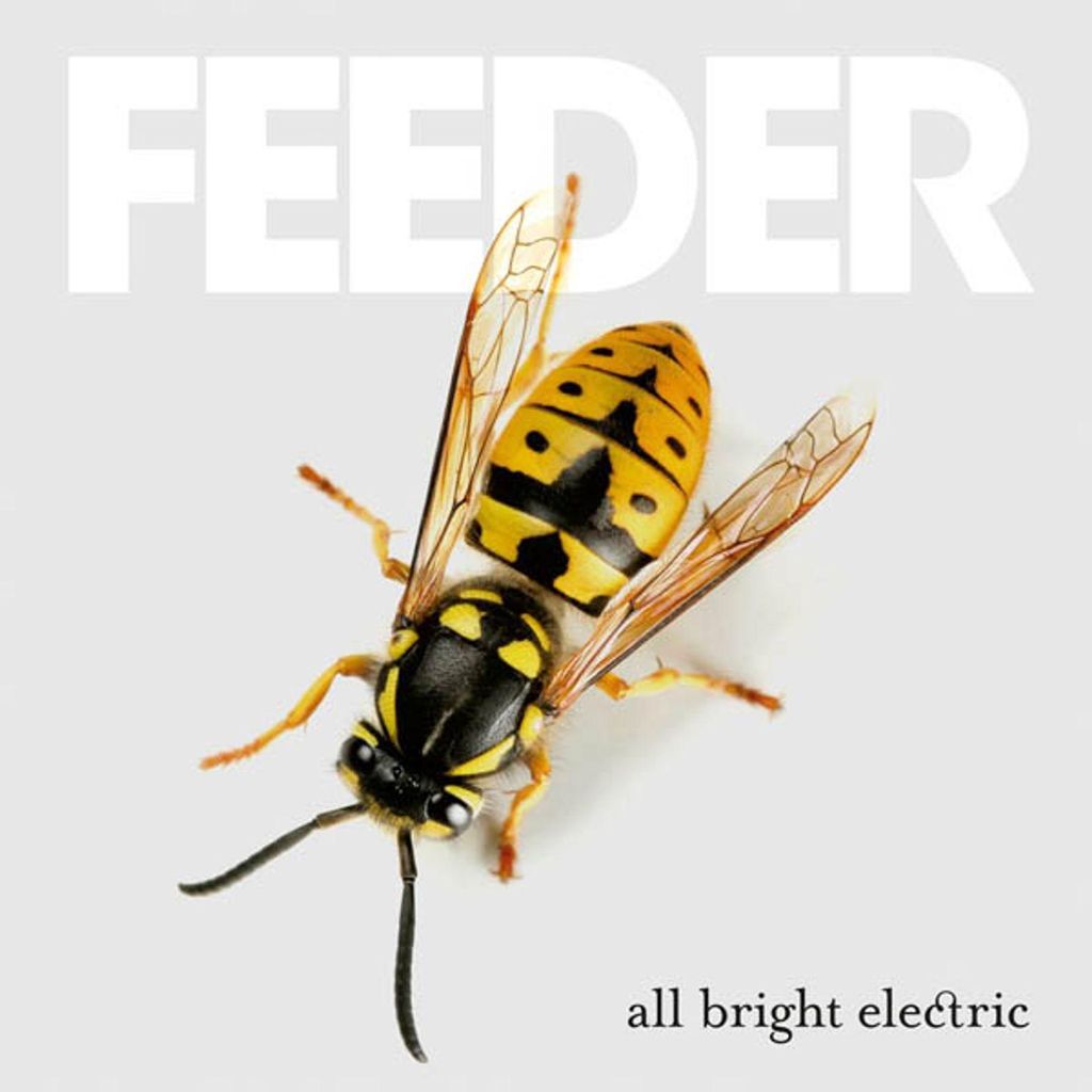 Feeder - All Bright Electric CD