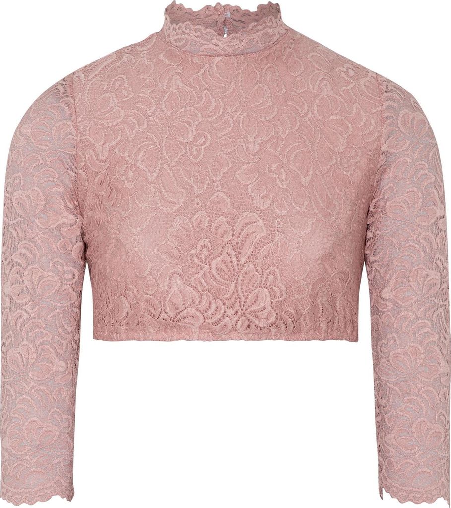 Amsterdam Dirndlbluse Trachtenbluse Trachtenmode, Größe:44, Farbe:Rosa