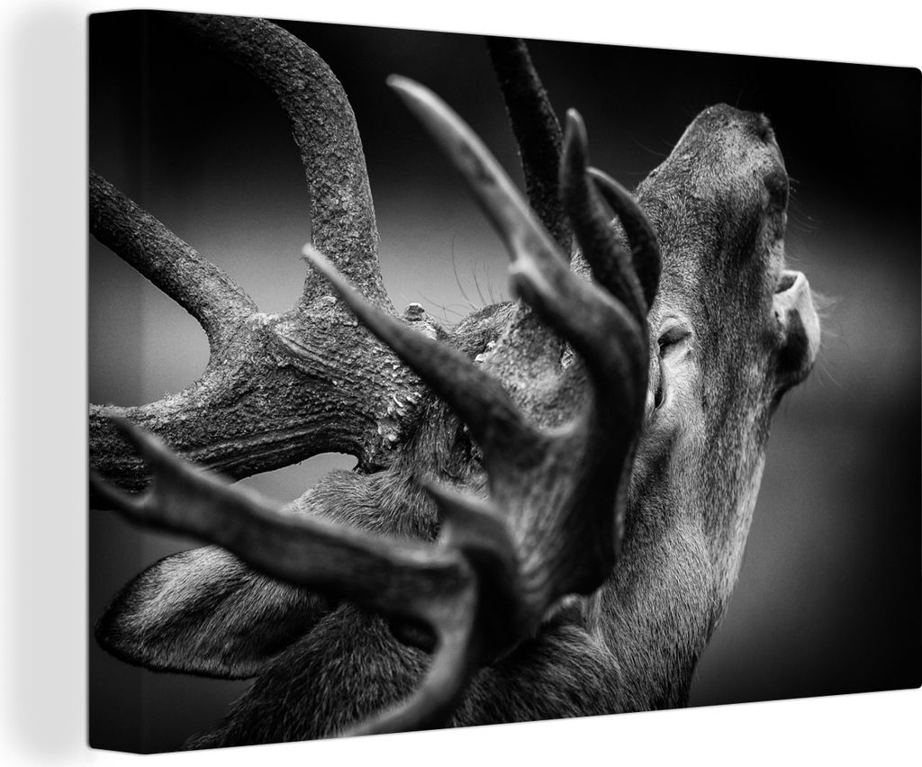 MuchoWow - Leinwandbilder - Geweih - Hirsch - Schwarz, Wandbild, Wanddeko Bilder Wohnzimmer, 90x60 cm