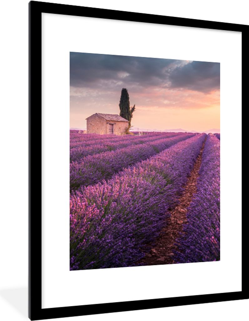 MuchoWow Gerahmtes Poster Lavendel - Blumen - Lila - Feld 60x80 cm - Poster mit Schwarzem Bilderrahmen Wandposter Rahmen Foto Bilder - Wohnzimmer...