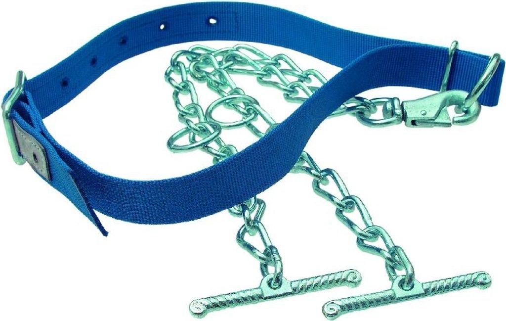 Polyester Anbindungen Halsriemen Bodenriemen blau 2 Kettenenden