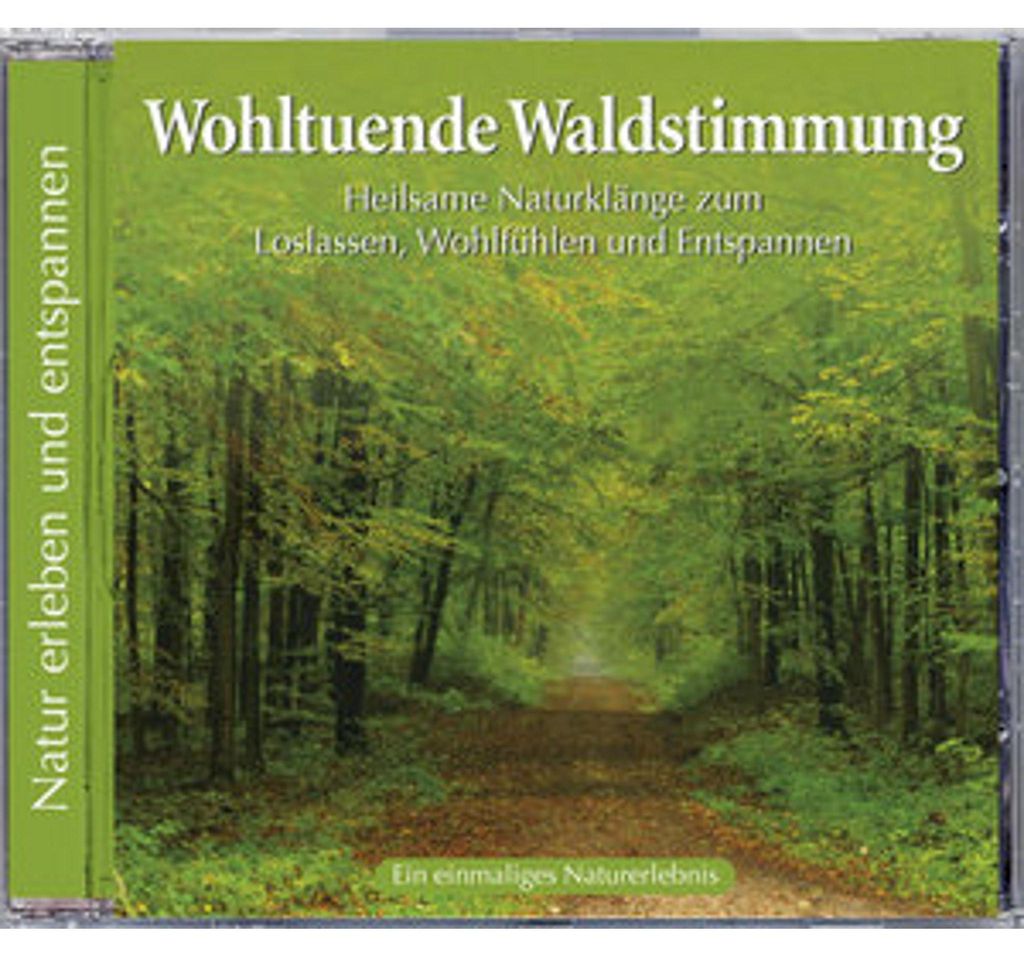 Naturgeräusche: Wohltuende Waldstimmung