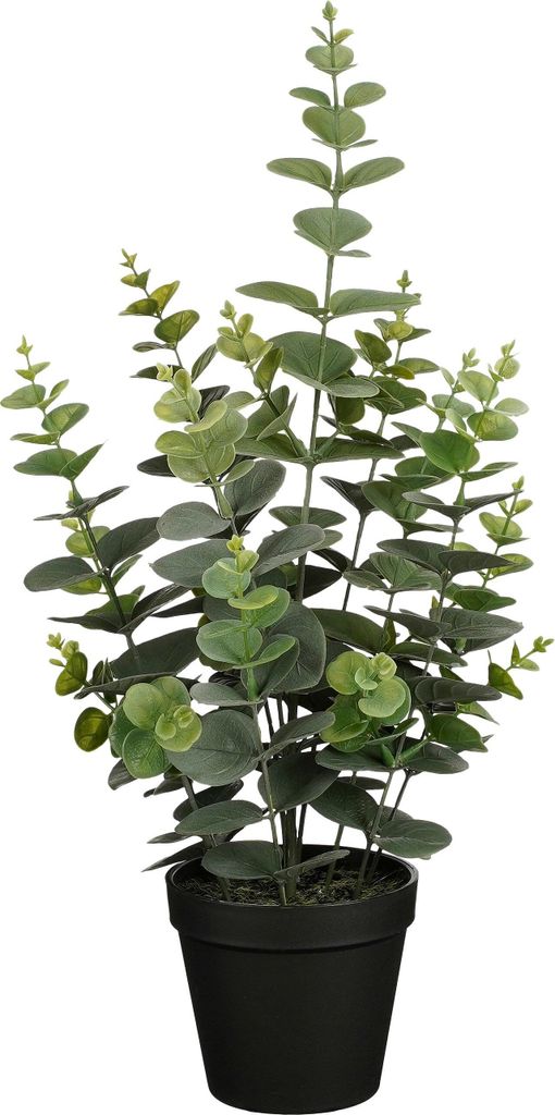 Mica Decorations Eucalyptus plante artificielle dans pot de Image du produit 