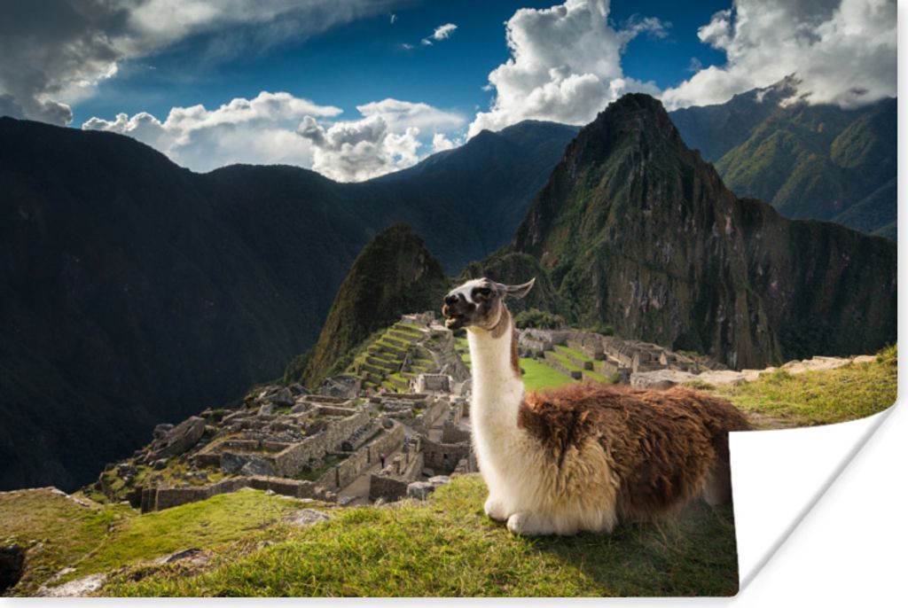 MuchoWow Poster Alpaka - Machu Picchu - Felsen 30x20 cm - Plakate - Print