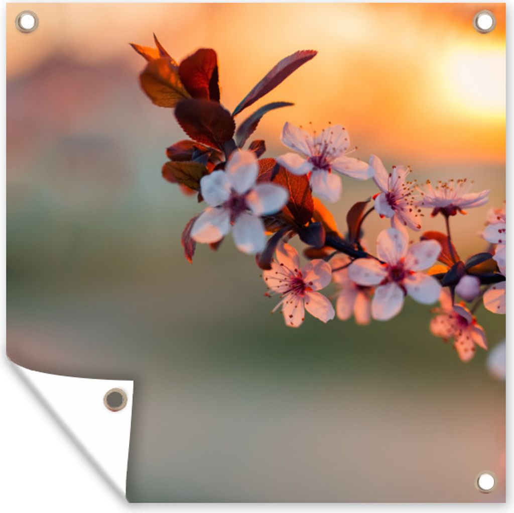 MuchoWow 50x50 cm Outdoor-Poster Gartendeko Sichtschutz Garten Poster für den Garten Blossom aus der Nähe