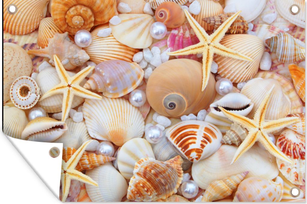 MuchoWow 120x80 cm Outdoor-Poster Gartendeko Sichtschutz Garten Poster für den Garten Muscheln - Perlen - Seesterne - Strand