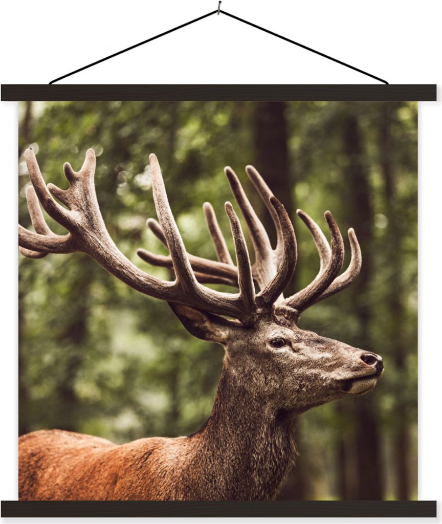 MuchoWow Textilposter Hirsch - Natur - Geweih - Wald - Tiere 40x40 cm mit schwarzem Rahmen - Fotos
