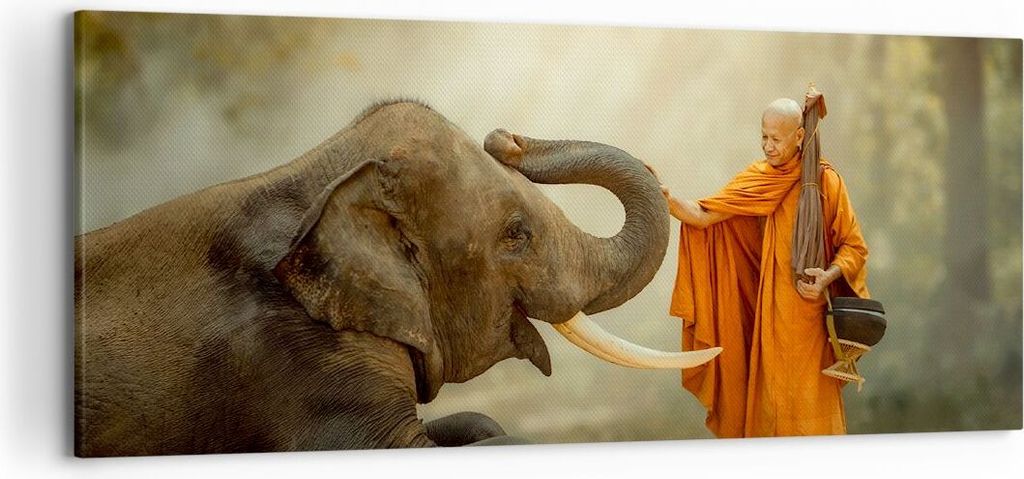 Bild auf Leinwand - Leinwandbild - Elefant Mönch Stoßzahn - 120x50cm - Wand Bild - Wanddeko - Leinwanddruck - Bilder - Kunstdruck - Wanddekoratio...