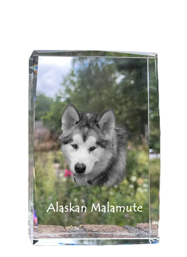 Décoration Chien en Verre Malamute d'Alaska : Bloc Cristal avec Photo