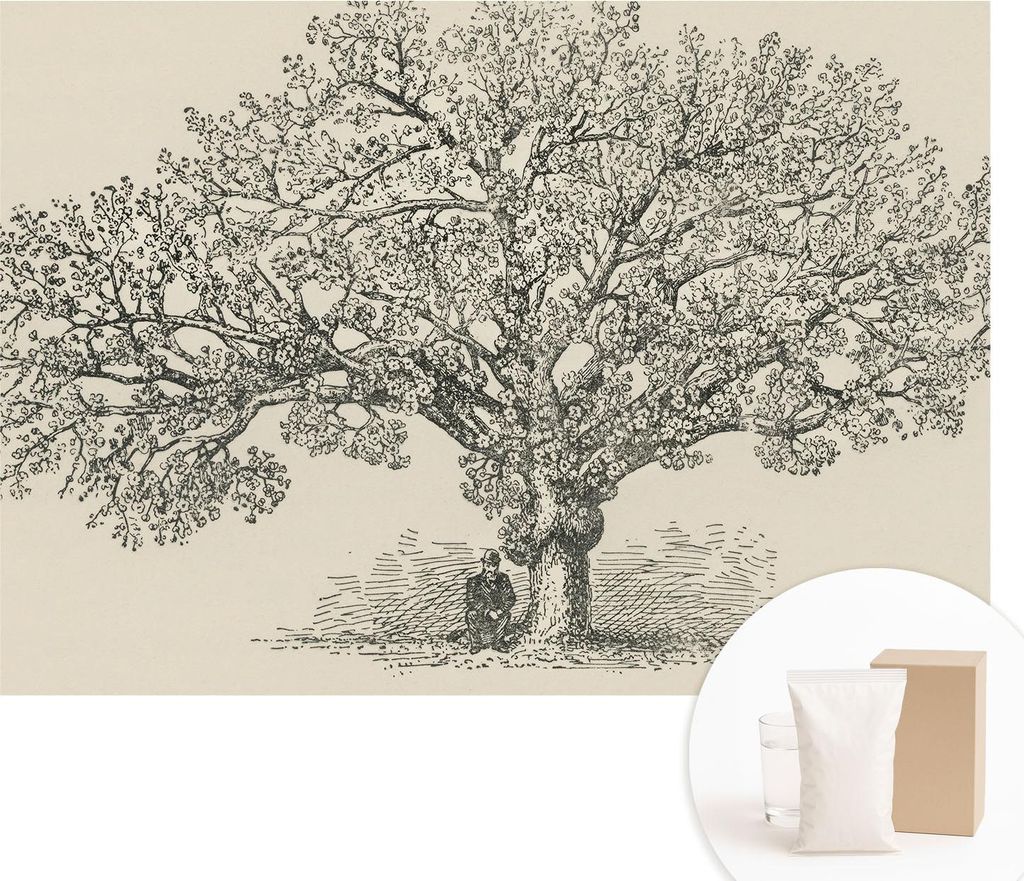 Fototapete - Wandbilder für Wohnzimmer - 208x146 cm - Dekorative Wandfolie - Modernes Design für Wanddekoration - Tapeten für Innenräume - Baum...