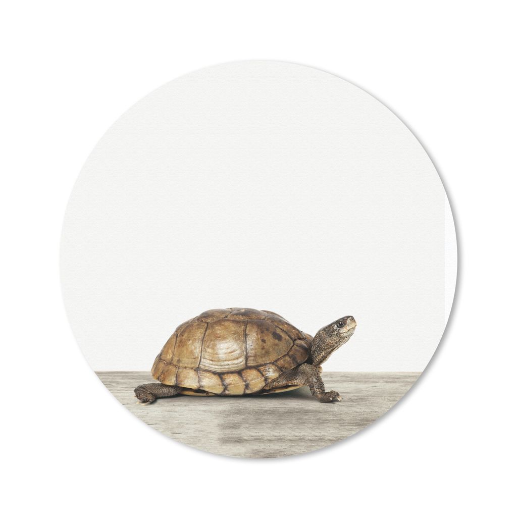 MuchoWow Mauspad Mousepad Tiere - Schildkröte - Weiß 50x50 cm - Mousepads - Maus Mat - Pad - Mausunterlage - Vinyl