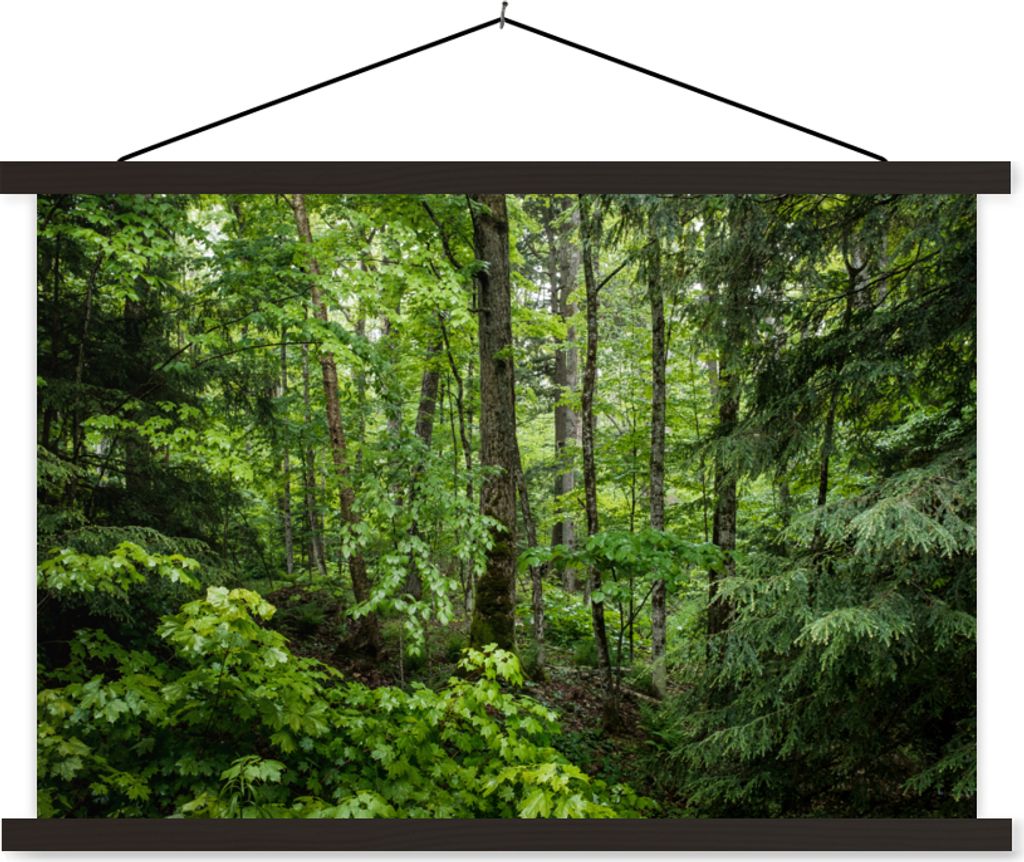 MuchoWow Textilposter Wald - Baum - Grün 60x40 cm mit schwarzem Rahmen - Hölzernes