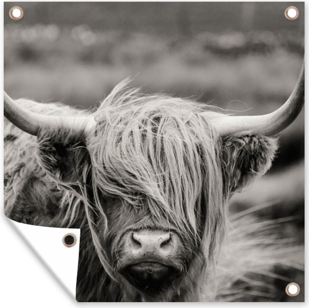 MuchoWow 50x50 cm Outdoor-Poster Gartendeko Sichtschutz Garten Poster für den Garten Schottischer Highlander - Kuh - Tiere - Schwarz-Weiß - Lä...