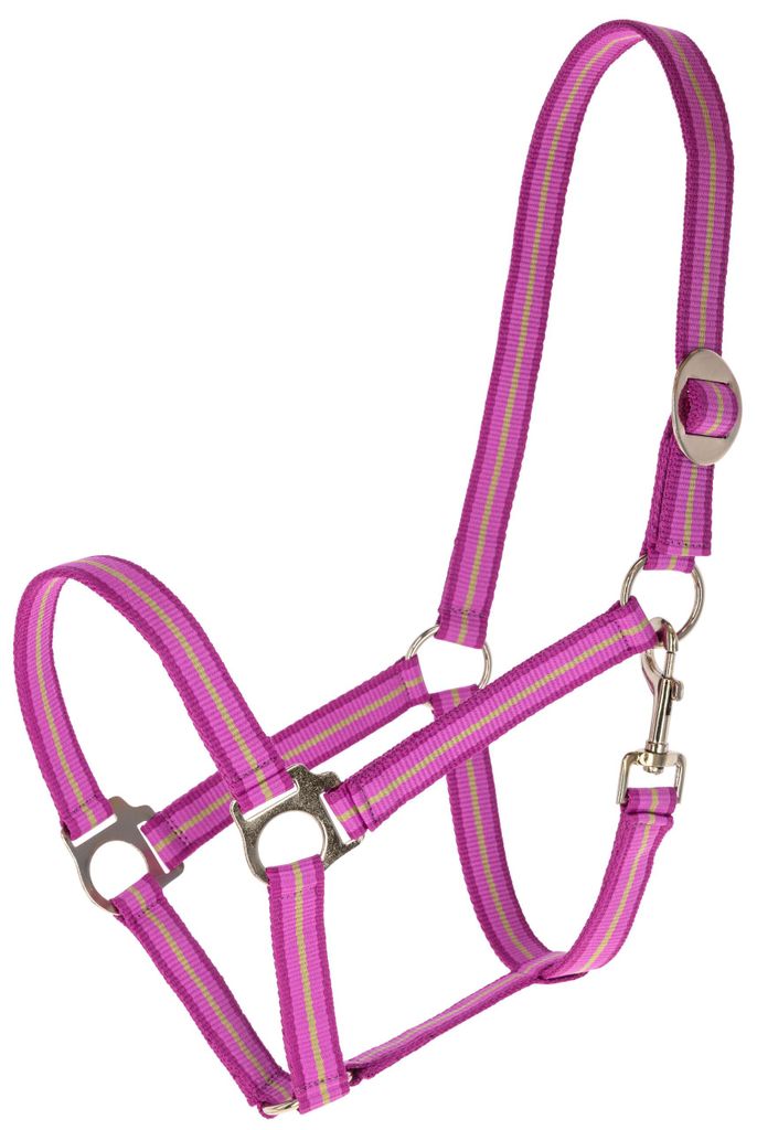 Covalliero Halfter Hippo light berry/walnut FS 2026, Produktbild 