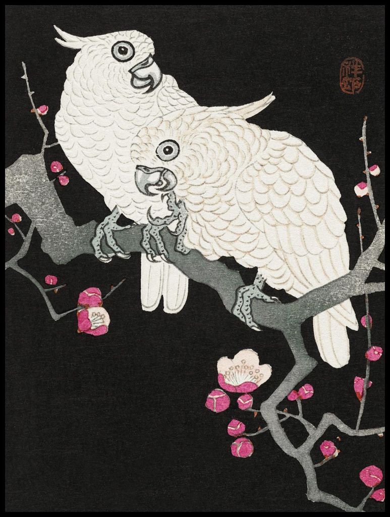 Plakat 75x100cm Zwei Kakadus, Japanischer Koson Vintage für das Wohnzimmer