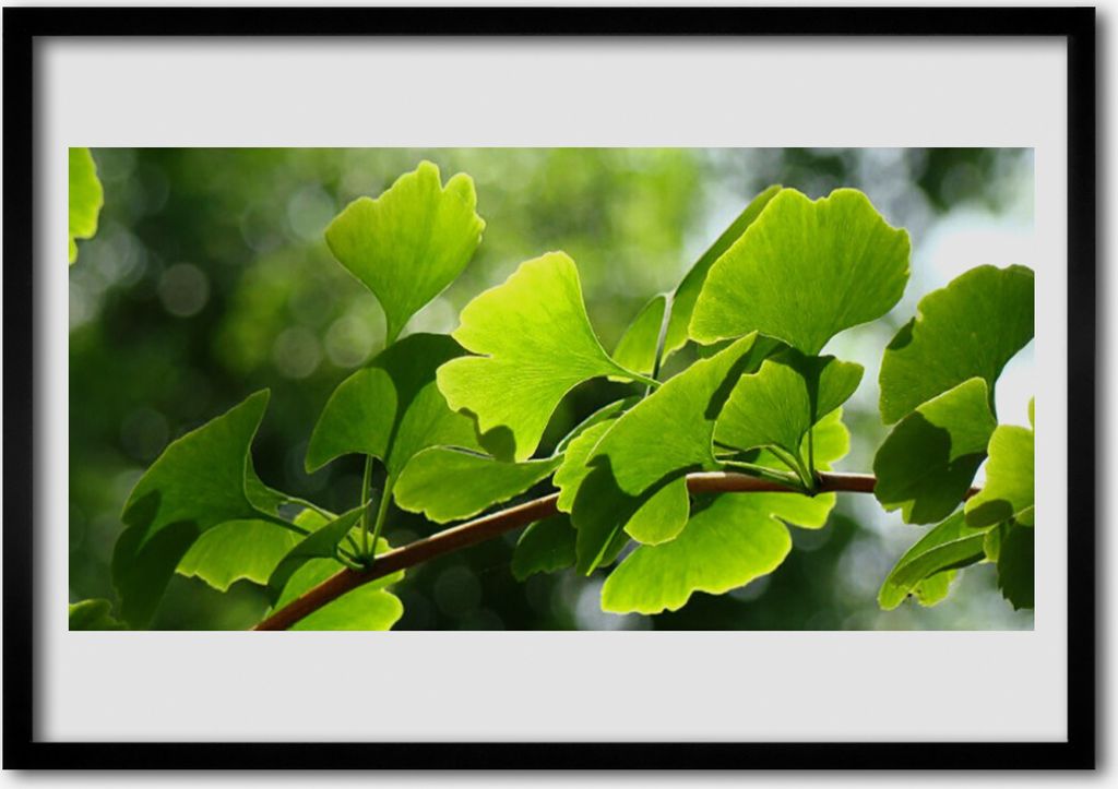 Bild 100x70 MDF-Rahmen Wandkunst Blätter Natur Baum-Zweig