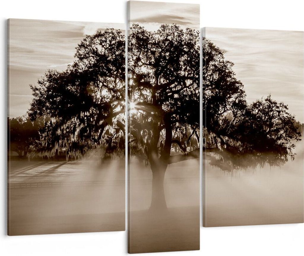 Bild auf Leinwand - Leinwandbild - Baum Feld Natur - 95x80cm - Wand Bild - Wanddeko - Wandbilder - Leinwanddruck - Bilder - Kunstdruck - Wanddekora...