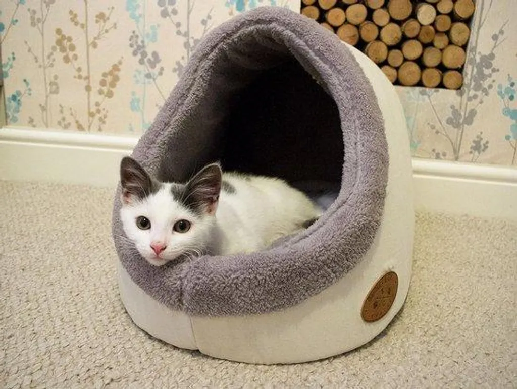 Panier pour chat moelleux à rabat protecteur, couchage 47x19x37 cm