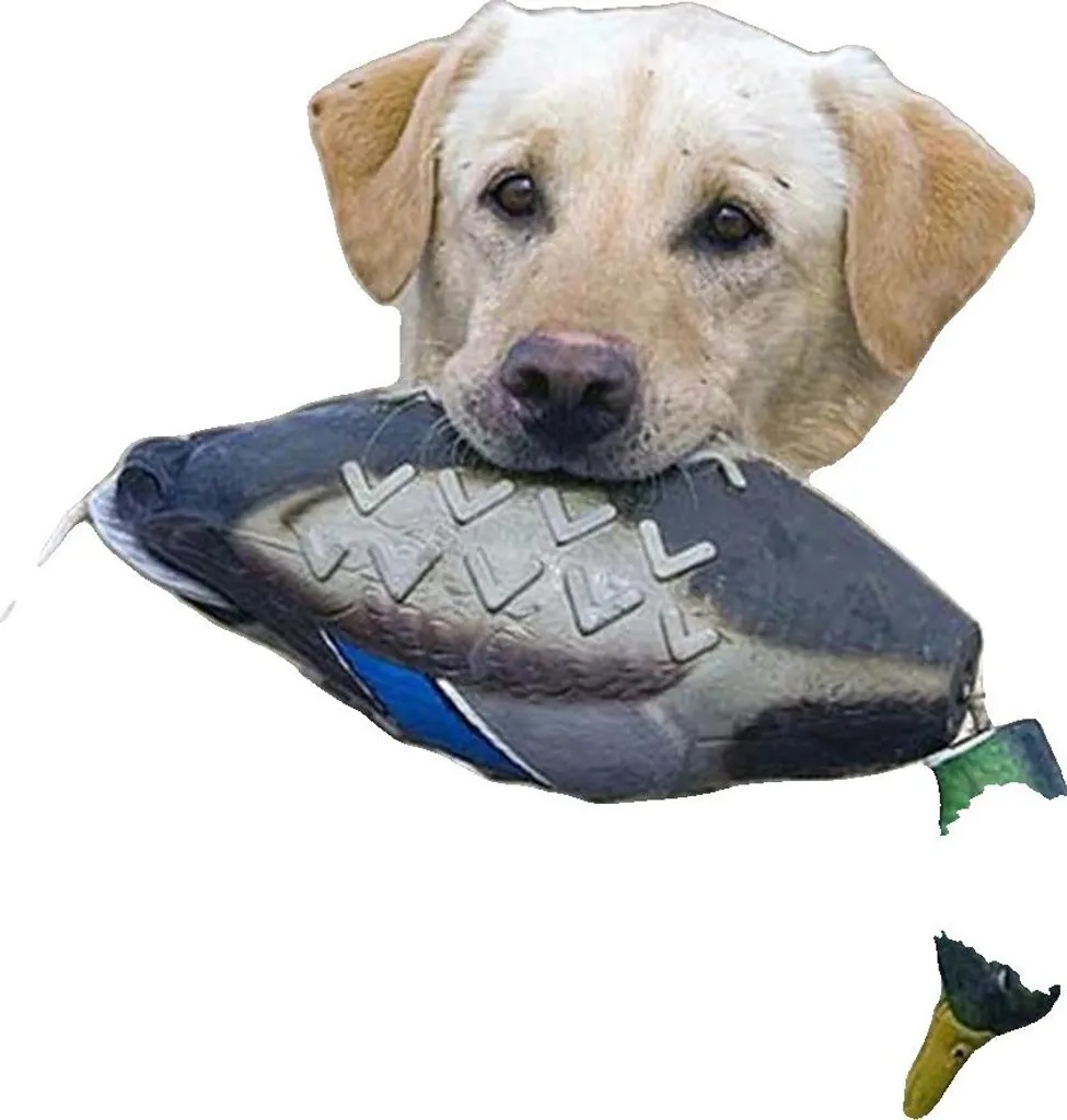Jouet interactif pour grand chien en mousse EVA durable - 46x10x10 cm