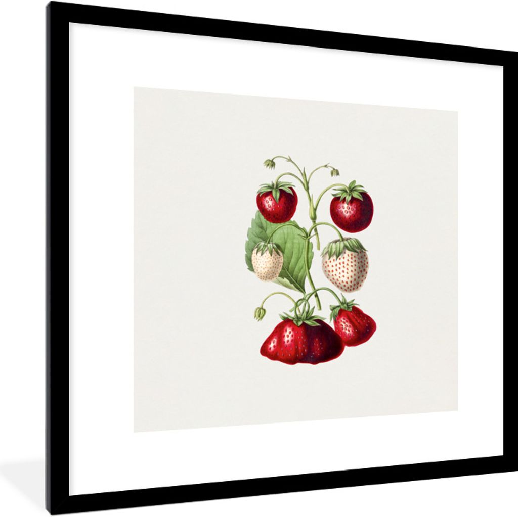 MuchoWow Gerahmtes Poster Erdbeeren - Pflanze - Frucht 40x40 cm - Poster mit Schwarzem Bilderrahmen Wandposter Rahmen Foto Bilder - Poster - Plak...