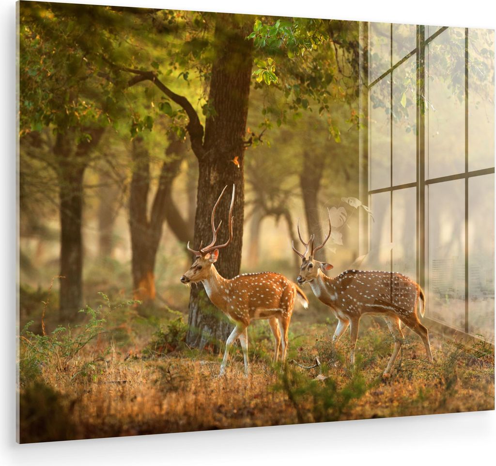 MuchoWow Glasbilder - Bilder auf Wandbild - Foto auf Glas Hirsche - Wald - Herbst - Waldtiere - Natur - Hirsche 80x60 cm Wanddekoration aus Glas - ...
