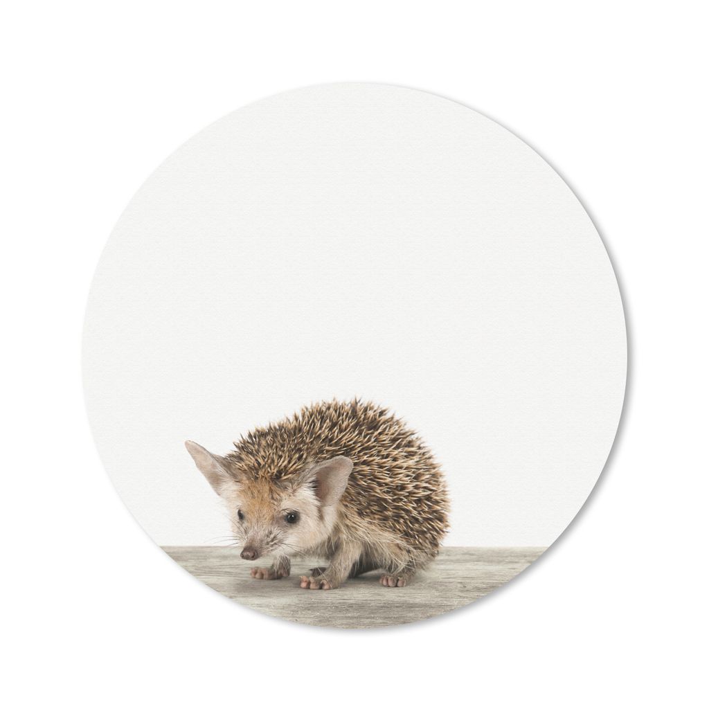 MuchoWow Mauspad Mousepad Igel - Tiere - Jungen - Mädchen 30x30 cm - Mousepads - Maus Mat - Pad - Mausunterlage - Tischunterlage - Schreibtischm...