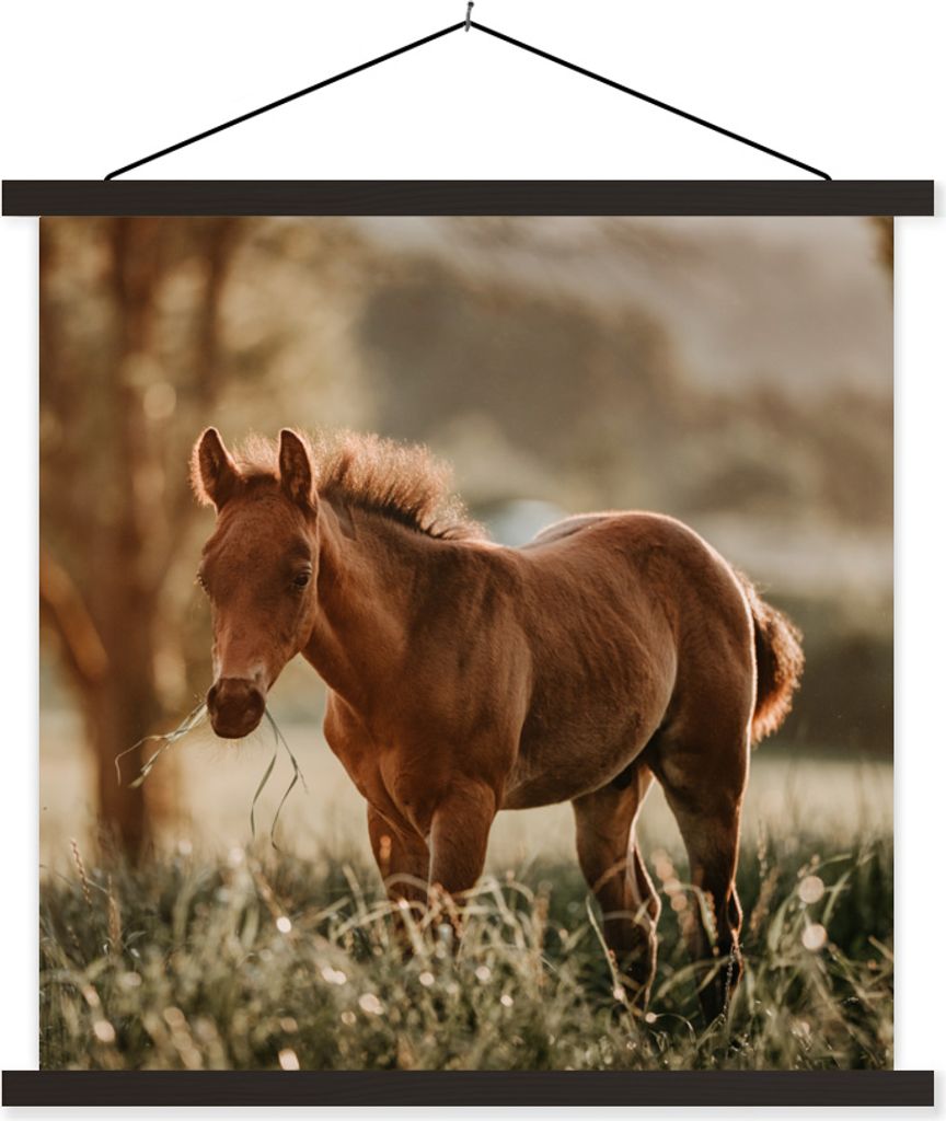 MuchoWow Textilposter Pferd - Licht - Wiese 60x60 cm mit schwarzem Rahmen - Posteraufhänger