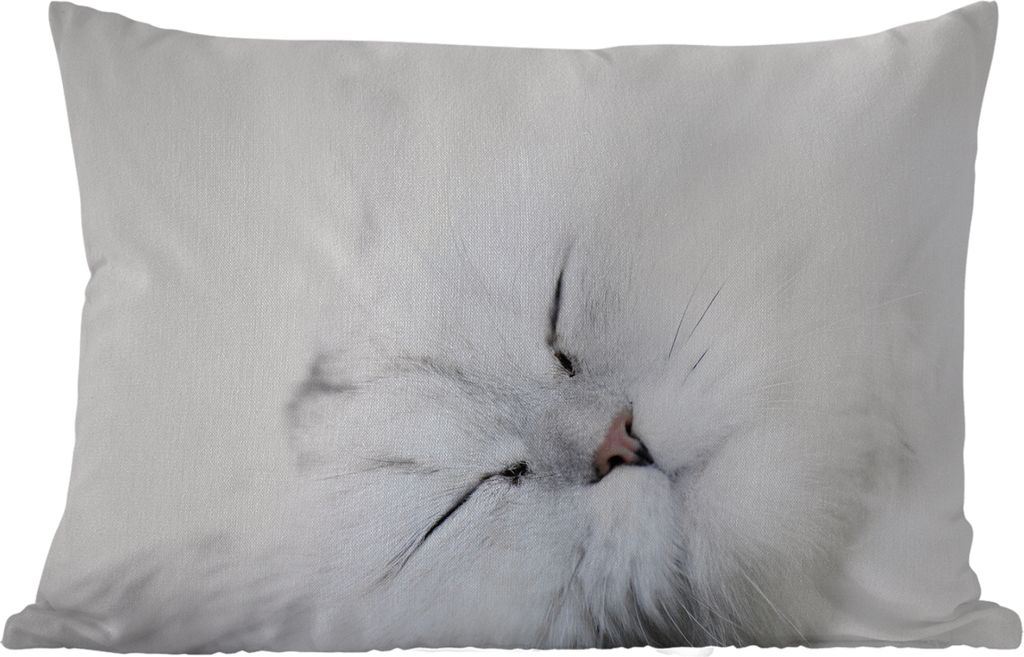 MuchoWow Outdoor Kissen - Katze - Weiß - Großaufnahme - 50x30 cm - Wetterfest - Lounge Kissen - Sofa kissen - Wohnzimmer Dekoration