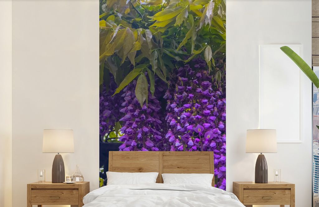 MuchoWow Fototapete für Wohnzimmer oder Schlafzimmer Wandtapete Vinyl Motivtapete Nahaufnahme einer Glyzinie - 120x240 cm - Hintergrundbild