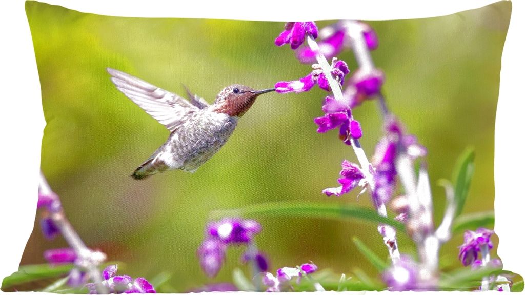 MuchoWow Zierkissen Sofakissen Wohnzimmer Dekokissen 60x40 cm Kolibri - Vogel - Natur - Kopfkissen - Polster mit Foto