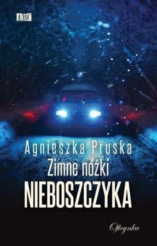 ISBN 978-83-658-9162-4, Polnisch, Taschenbuch, 292 Seiten