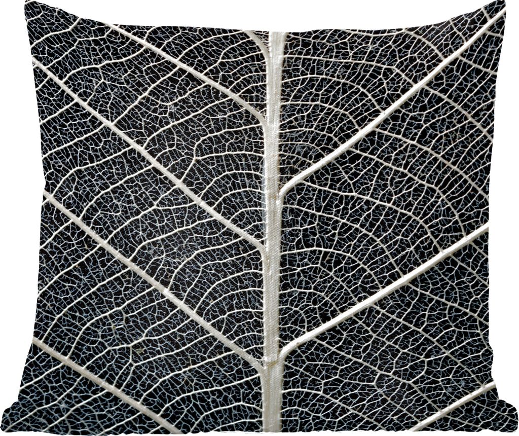 MuchoWow Zierkissen Sofakissen Wohnzimmer Dekokissen 50x50 cm Blattskelett mit Adern und Äderchen - Komfort - Sofakissen