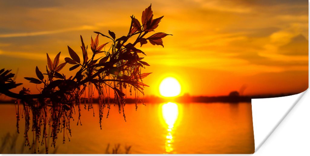 MuchoWow Poster Sonnenuntergang - Wasser - Pflanzen - Orange 40x20 cm - Poster für die Wand - Poster Schlafzimmer