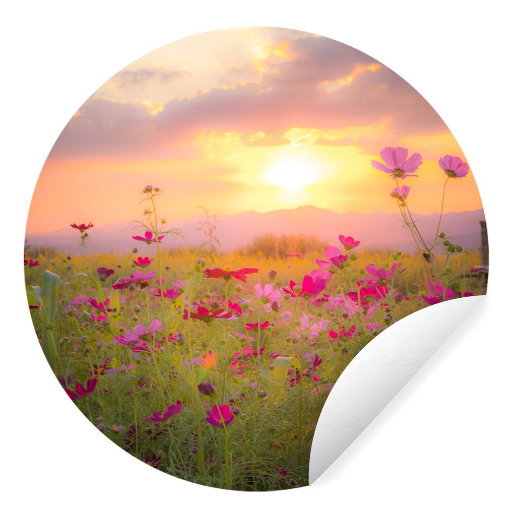 MuchoWow Runde Wandtattoo - Wandsticker Tapete Aufkleber Blumen - Wild - Dämmerung Ø 50 cm Selbstklebend und Repositionierbar - Wandaufkleber -...