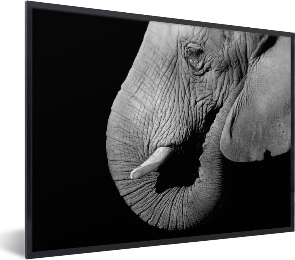 MuchoWow Gerahmtes Poster Nahaufnahme Porträt eines Elefanten auf einem schwarzen Hintergrund - schwarz und weiß 80x60 cm - Poster mit Schwarze...